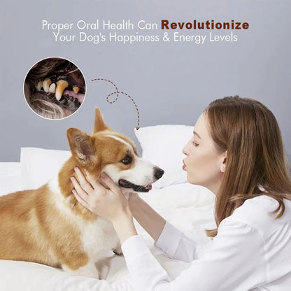 BarkBright Dog Teeth Cleaning Powder