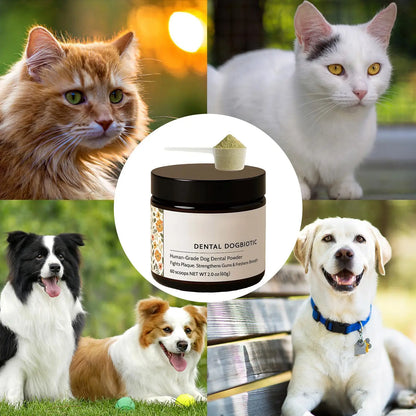 BarkBright Dog Teeth Cleaning Powder