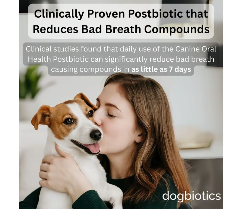 BarkBright Dog Teeth Cleaning Powder